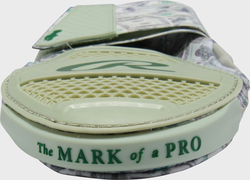 Rawlings Money Sliding Mitt, Large